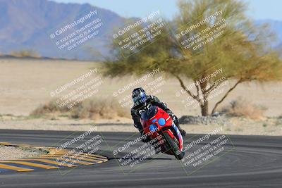 media/Feb-04-2023-SoCal Trackdays (Sat) [[8a776bf2c3]]/Turn 4 (Tree of Life 2pm)/